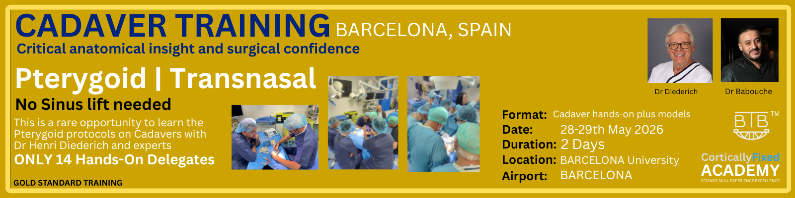 Gold Cadaver Pterygoid Barcelona v2 Cadaver Pterygoid training